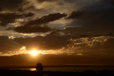 DSC_3307 (Large).JPG